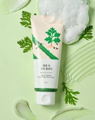 Заспокійлива очищуюча пінка з морським полином ROUND LAB MUGWORT Calming Cleanser