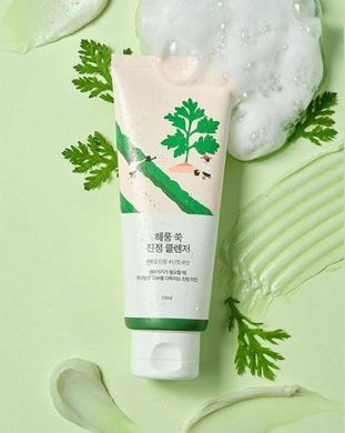 Заспокійлива очищуюча пінка з морським полином ROUND LAB MUGWORT Calming Cleanser