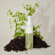 Відновлюючий крем-спрей для дуже пошкодженого волосся ANILLO Patchouli Garden Damage Repair Cream Hair Mist