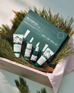Набір мініверсій засобів з екстрактом голок сосни ROUND LAB Pine Calming Cica Trial Kit